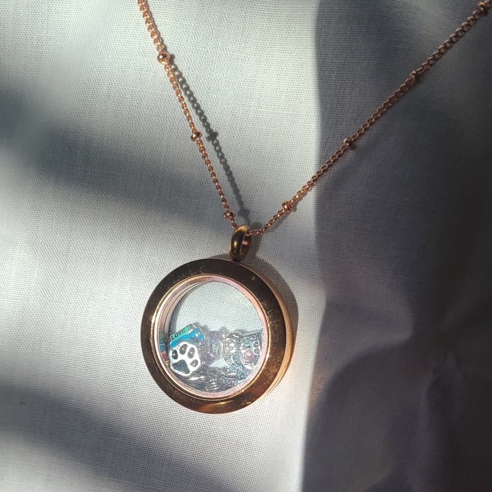 Origami Owl Rose Gold locket/16" chain and 5 charms